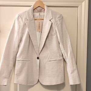 Pin Striped‎ Blazer in White and Gray